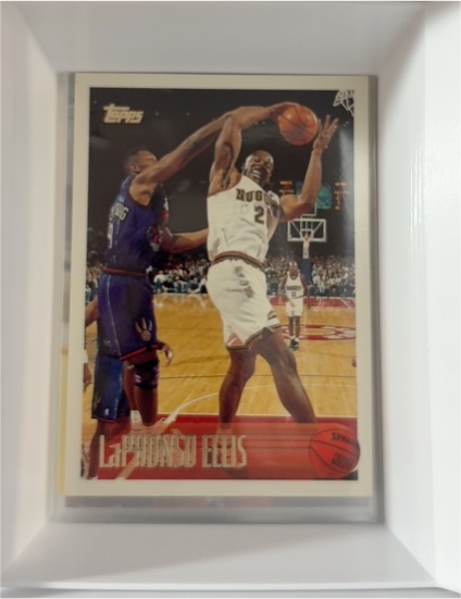 1996-97 Topps #203 LaPhonso Ellis — front
