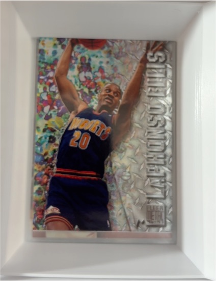 1996-97 Fleer Metal #25 LaPhonso Ellis — front