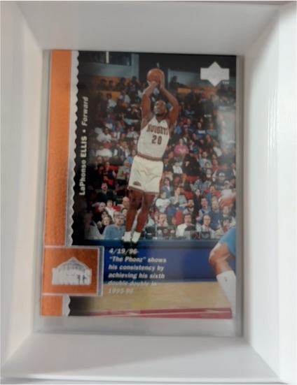 1995-96 Upper Deck #115 LaPhonso Ellis — front