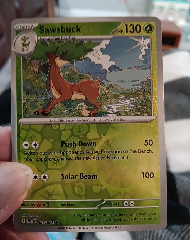 2025 Pokémon Scarlet & Violet #007 Sawsbuck — front
