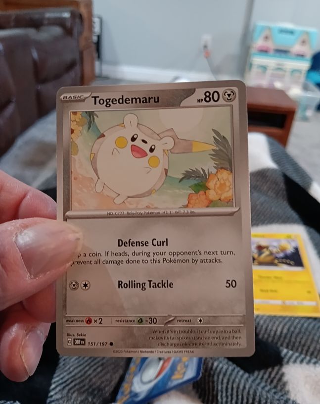 2023 Pokémon #151 Togedemaru — front