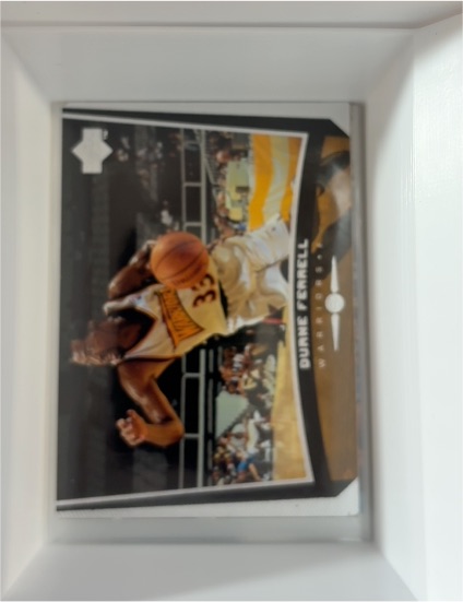 1998-99 Upper Deck #223 Duane Ferrell — front