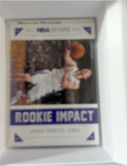 2012-13 Panini NBA Hoops Rookie Impact #21 Jan Vesely — front