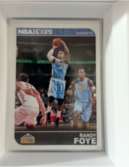 2014-15 Panini NBA Hoops #37 Randy Foye — front