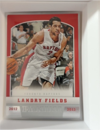2012-13 Panini #103 Landry Fields — front