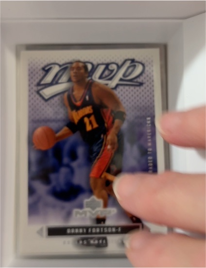 2003-04 Upper Deck MVP #47 Danny Fortson — front