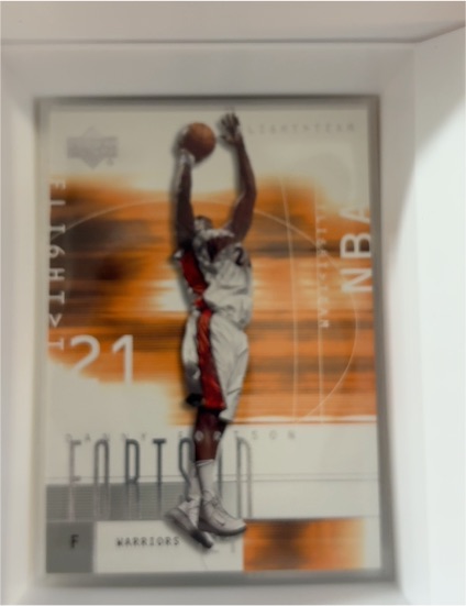 2001 Upper Deck Flight Team #21 Danny Fortson — front