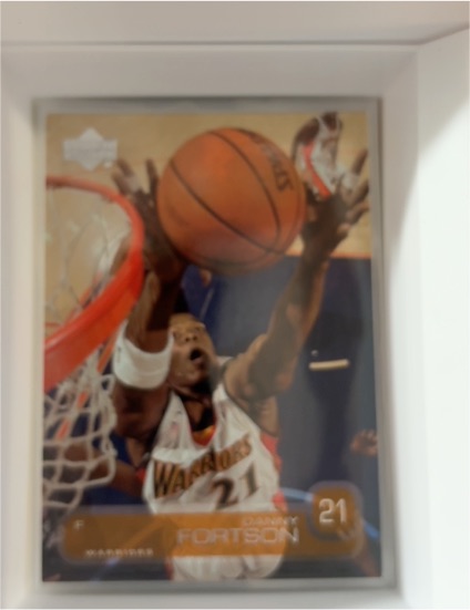 2002-03 Upper Deck #47 Danny Fortson — front