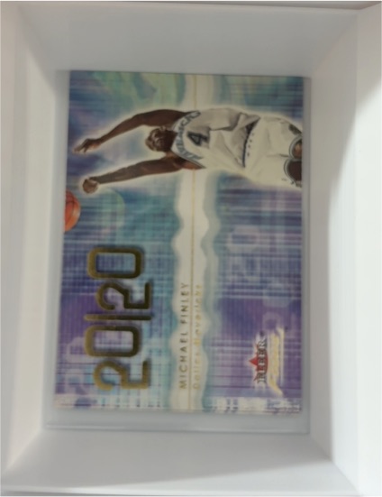 2000-01 Fleer Focus 20/20 Michael Finley #227 — front
