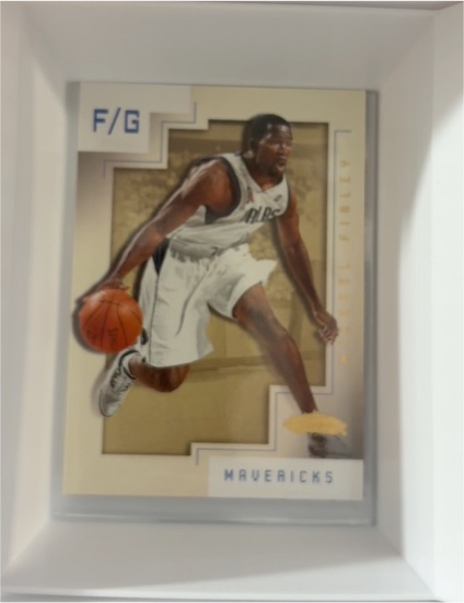 2001-02 Fleer Showcase #12 Michael Finley — front