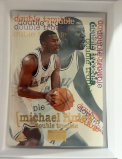 1996-97 SkyBox Premium #263 Michael Finley Double Trouble — front