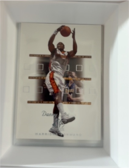 2001-02 Upper Deck SP Authentic #28 Danny Fortson — front