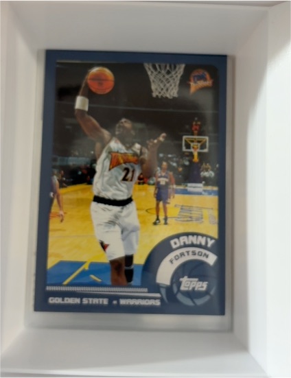 2002 Topps #103 Danny Fortson — front