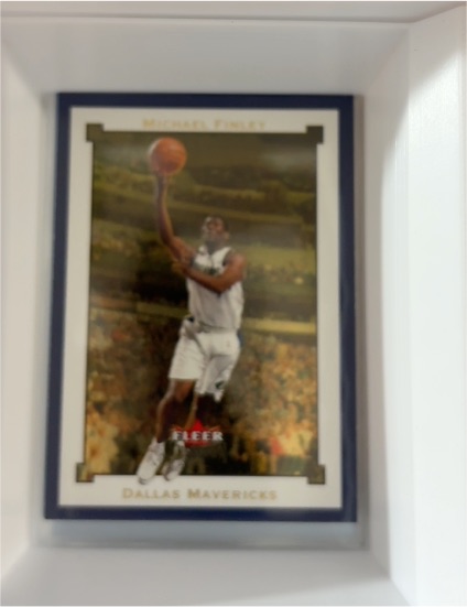 2003-04 Fleer Avant #31 Michael Finley — front