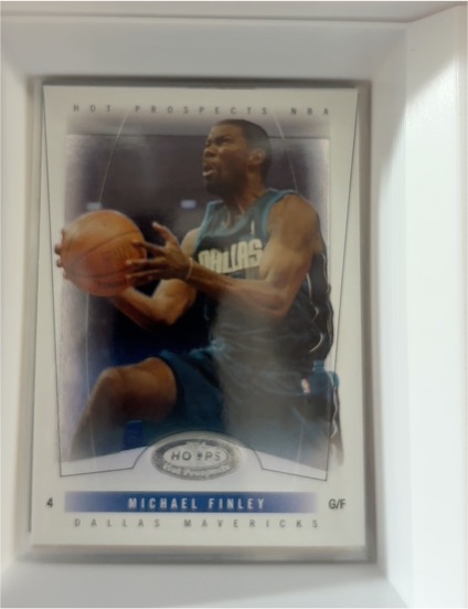 2004 Fleer Hot Prospects #4 Michael Finley — front