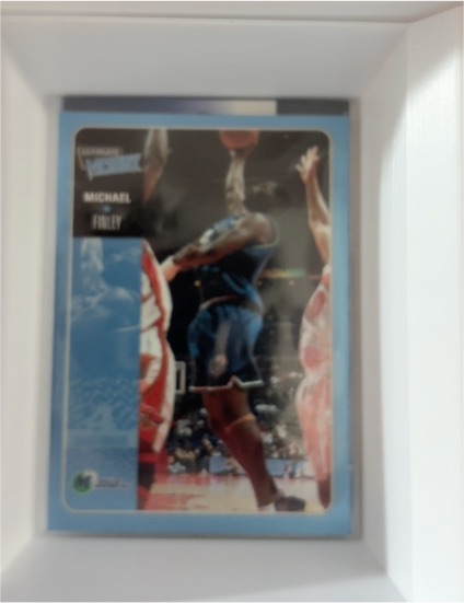 1999 Upper Deck Victory #51 Michael Finley — front