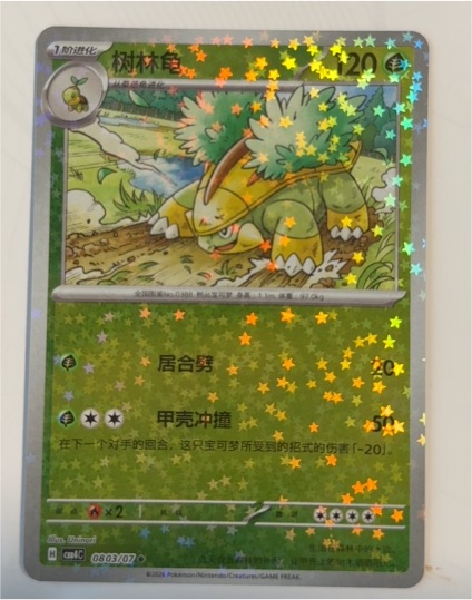 2022 Pokémon CBB4C #0803 Torterra — front