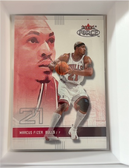 2001-02 Fleer Force #79 Marcus Fizer — front