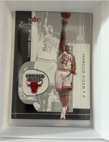 2001-02 Fleer Exclusive #90 Marcus Fizer — front