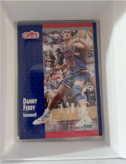 1991-92 Fleer #36 Danny Ferry — front
