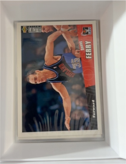 1996-97 Upper Deck Collector's Choice #223 Danny Ferry — front
