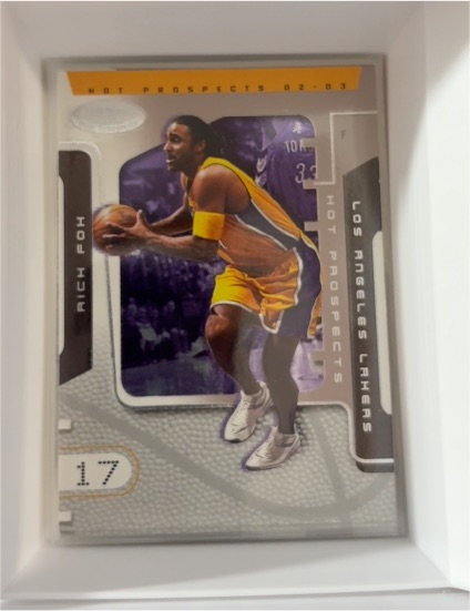 2002-03 Fleer NBA Hoops Hot Prospects #17 Rick Fox — front