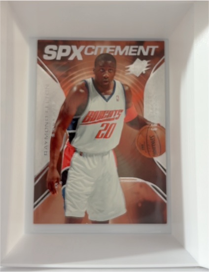 2006-07 Upper Deck SPx SPXcitement #SPX-45 Raymond Felton — front