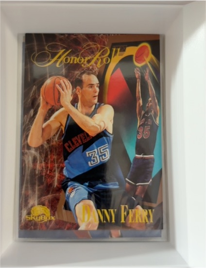 1995-96 SkyBox Premium #252 Danny Ferry — front