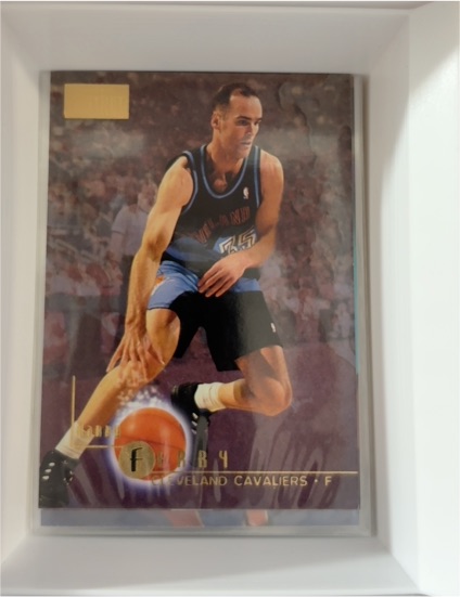 1996-97 SkyBox Premium #21 Danny Ferry — front