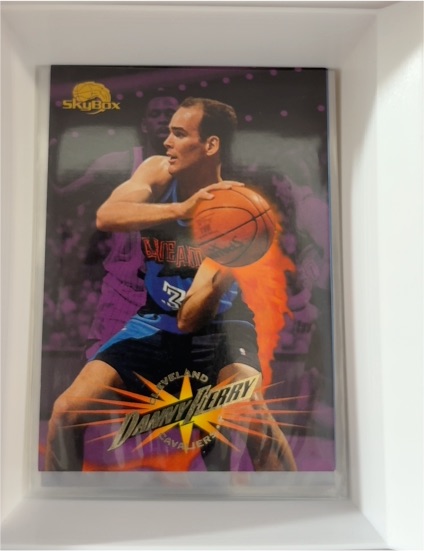 1995-96 SkyBox Premium #161 Danny Ferry — front