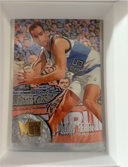 1995-96 Fleer Metal #135 Danny Ferry — front