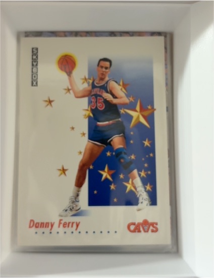 1991-92 SkyBox #490 Danny Ferry — front