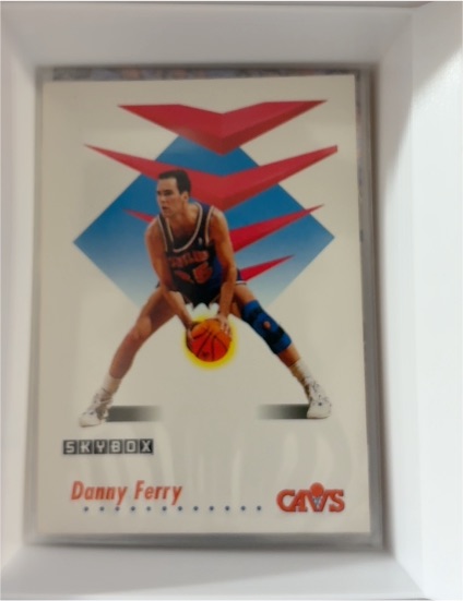 1991-92 SkyBox #49 Danny Ferry — front