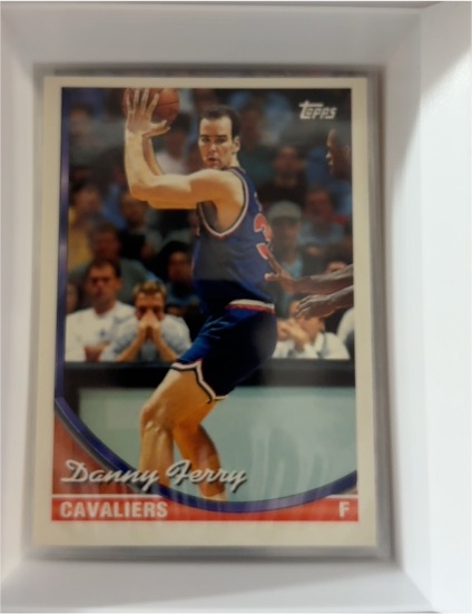 1993-94 Topps #29 Danny Ferry — front