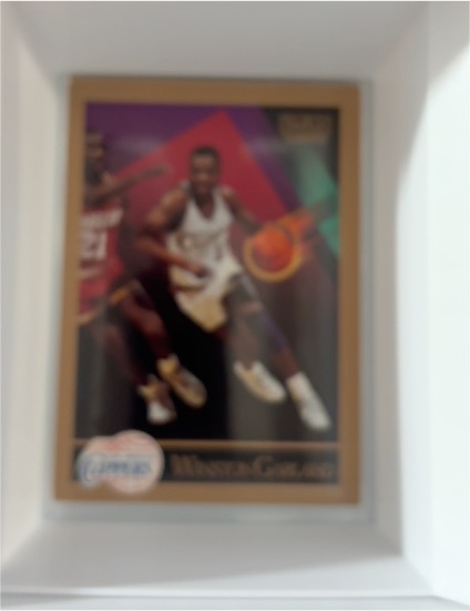 1993-94 Topps #227 A.C. Green Gold — front