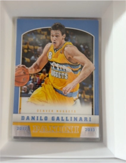 2012-13 Panini #38 Danilo Gallinari — front