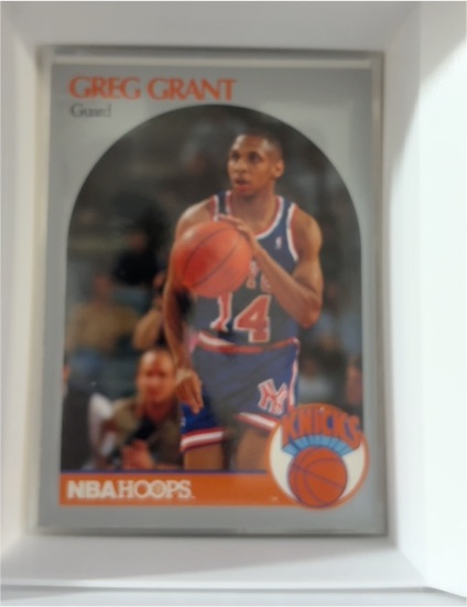 1990-91 NBA Hoops #421 Greg Grant — front