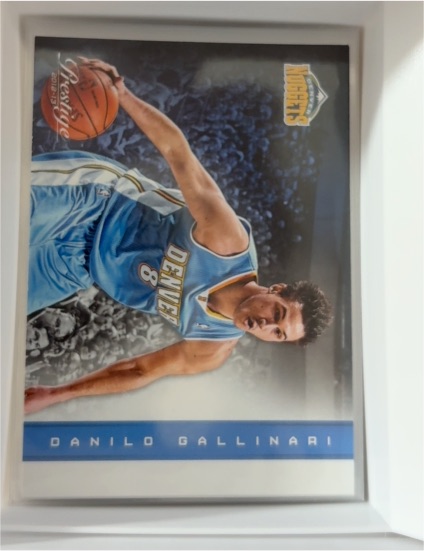 2012-13 Panini Prestige #48 Danilo Gallinari — front