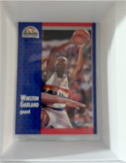 1991-92 Fleer #275 Winston Garland — front