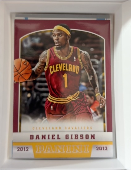 2012-13 Panini #37 Daniel Gibson — front
