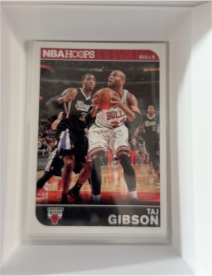 2014-15 Panini NBA Hoops #25 Taj Gibson — front