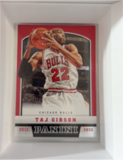 2012-13 Panini #160 Taj Gibson — front