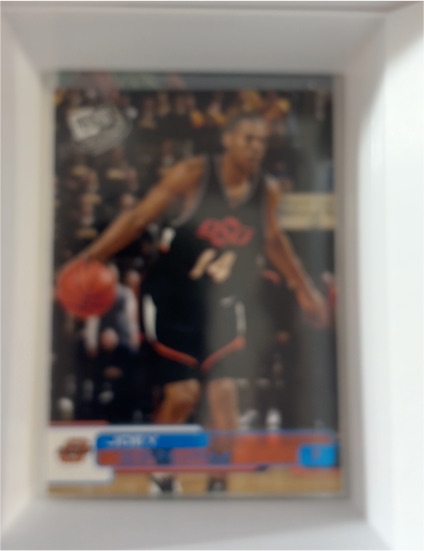 2008-09 Upper Deck Basketball #183 Chris Bosh — front