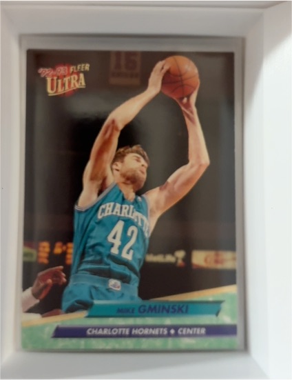 1992-93 Fleer Ultra #232 Mike Gminski — front