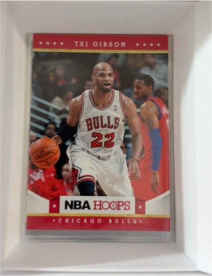 2012-13 Panini NBA Hoops #79 Taj Gibson — front