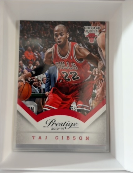 2013-14 Panini Prestige #128 Taj Gibson — front