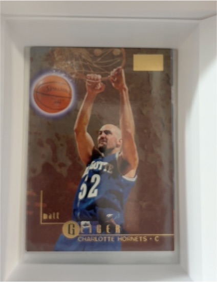 1996-97 SkyBox Premium #13 Matt Geiger — front