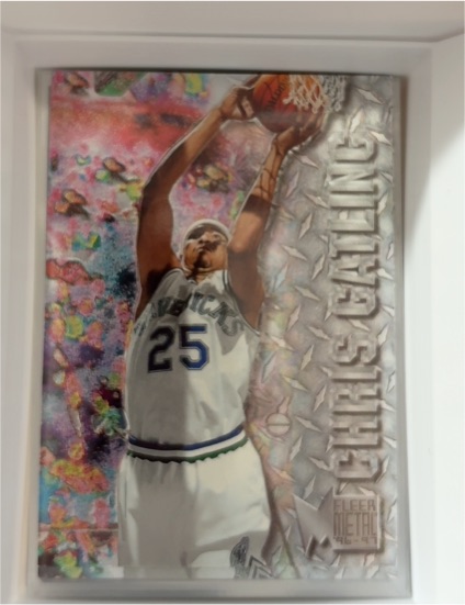 1996-97 Fleer Metal #163 Chris Gatling — front