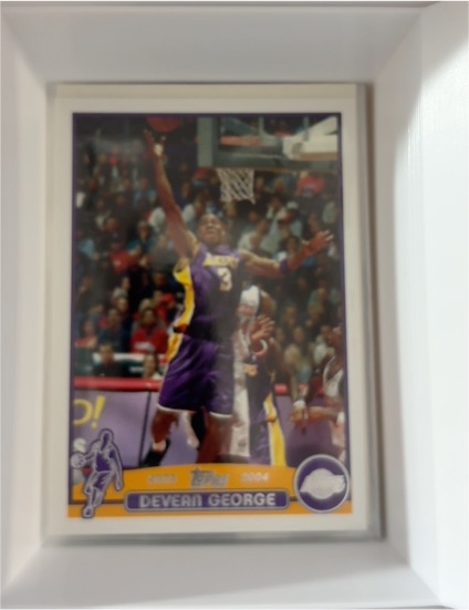 2003-04 Topps #183 Devean George — front