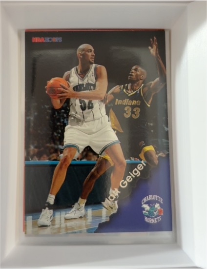 1996-97 NBA Hoops #16 Matt Geiger — front
